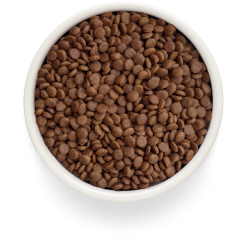 Grandorf Fresh Lamb Adult Cat