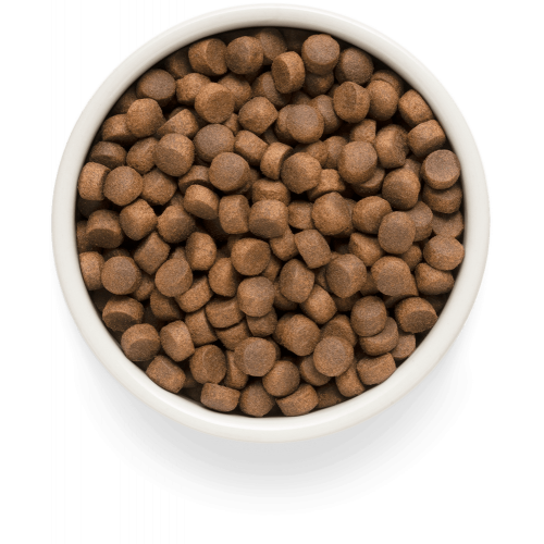 Grandorf Fresh Salmon Adult Cat Sterilised