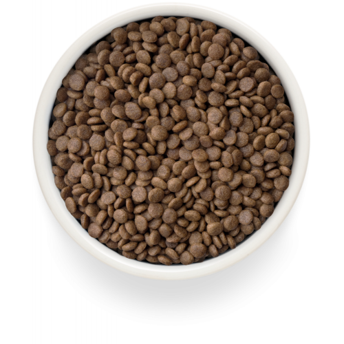 Grandorf Fresh Turkey Adult Cat Sterilised