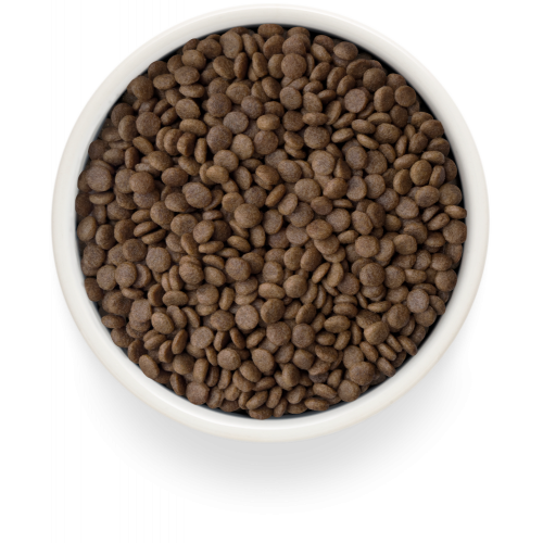 Grandorf Fresh Lamb Adult Cat Sterilised