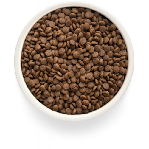 Grandorf Fresh Duck Adult Cat Sterilised