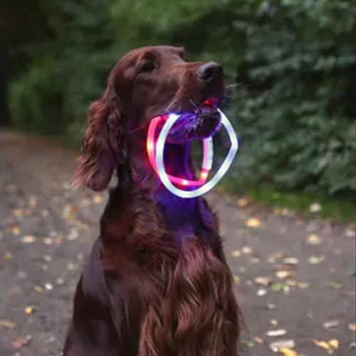 ОШЕЙНИК С 3 УРОВНЯМИ СВЕТА, красный цвет (20-70см)