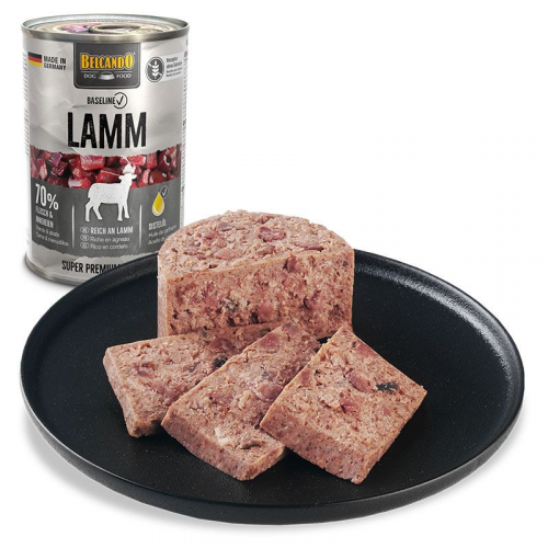 Belcando Baseline LAMB