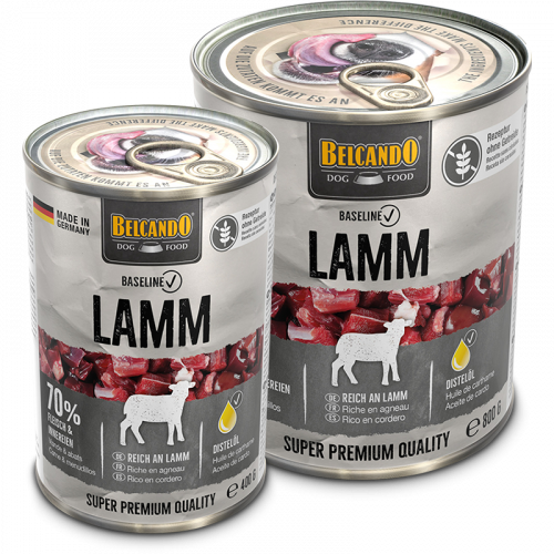 Belcando Baseline LAMB