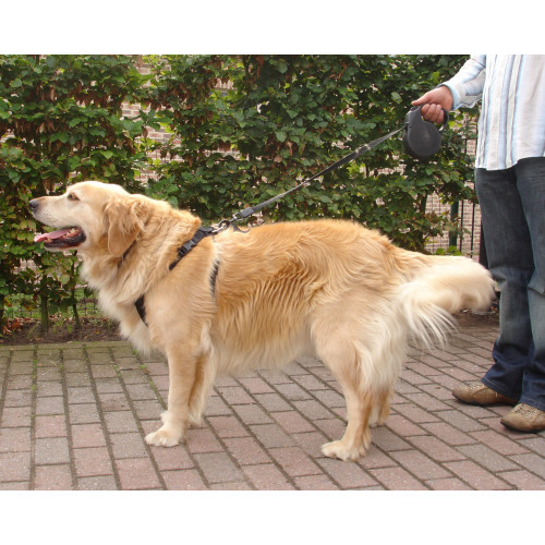 Шлея dOG SAFETY ЧЕРНЫЙ L