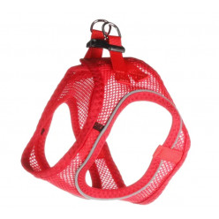 Шлейка STEP&GO BENTO Красная L