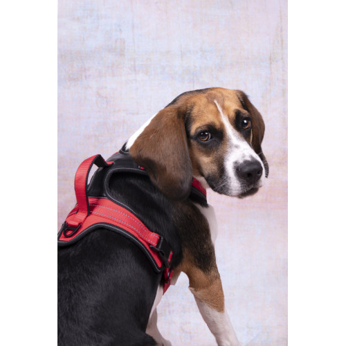 ШЛЕЙКА TOGA с дышащей сеткой КРАСНая M 