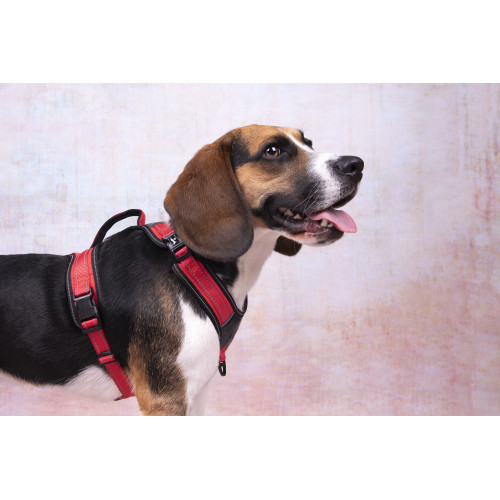 ШЛЕЙКА TOGA с дышащей сеткой КРАСНая M 