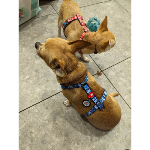 ШЛЕЙКА H-образная ZIGGI ТЕМНО-СЕРая M