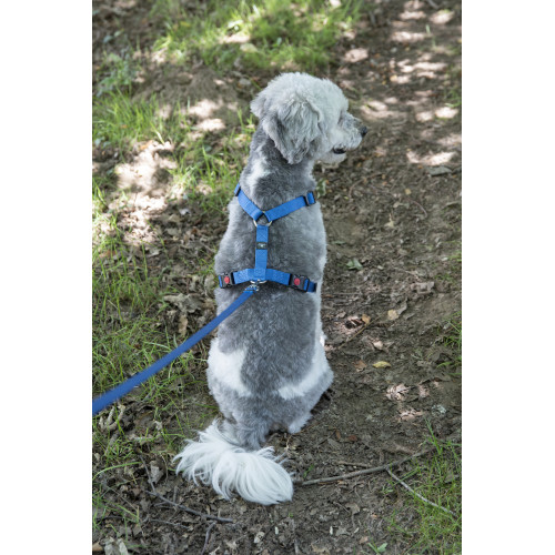 ШЛЕЙКА H-образная ZIGGI ТЕМНО-СЕРая S