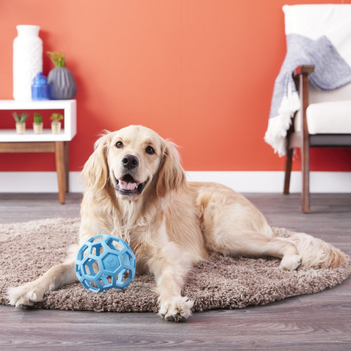 Мяч jw hol-ee roller M (13 см)