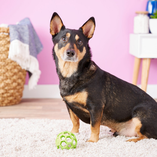 Мяч jw hol-ee roller jumbo (19,3 см)