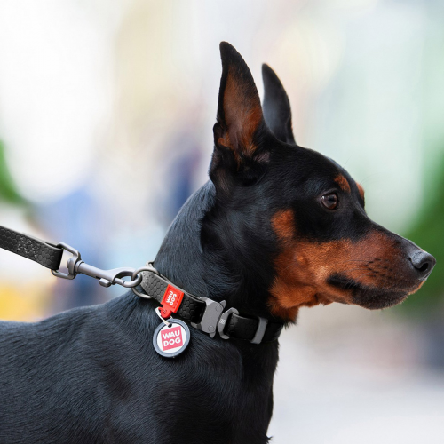 Поводок WAUDOG Waterproof, водостойкий, цвет черный S 3,05 м