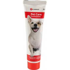 ЗУБНАЯ ПАСТА TOOTHPASTE с мятой 