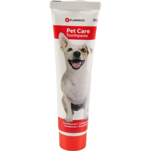 ЗУБНАЯ ПАСТА TOOTHPASTE с мятой 