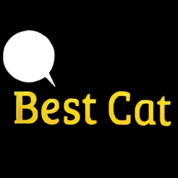Best Cat
