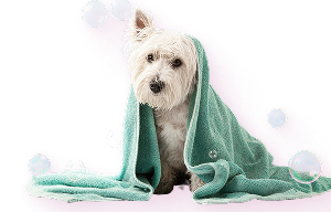 Безопасный уход и гигиена