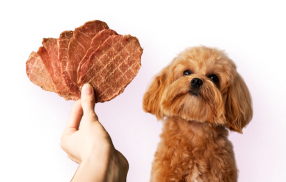 Натуральные лакомства