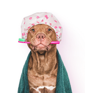 Уход за зубами