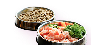 Еда для собак